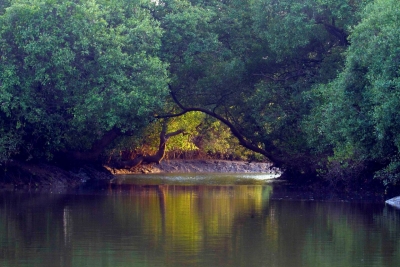 Odisha water bodies