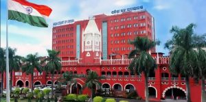 Orissa High Court - plant saplings