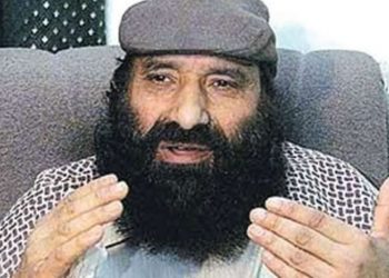 Hizbul Mujahideen chief Syed Salahudeen (Image: Twitter)