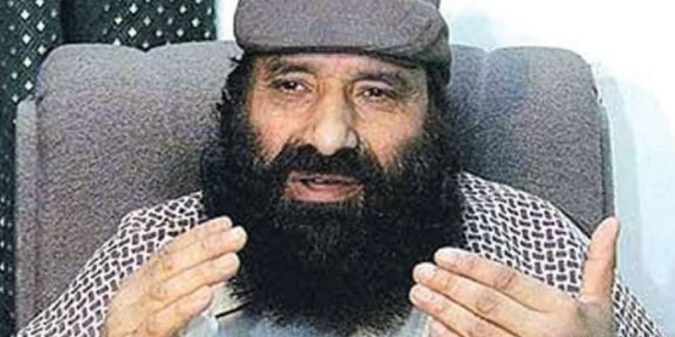 Hizbul Mujahideen chief Syed Salahudeen (Image: Twitter)