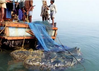 Odisha: 60-day fishing ban to facilitate fish breeding