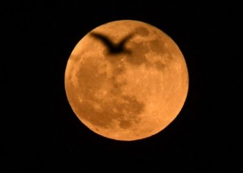 Mystery behind suicidal deaths spike during full moon week