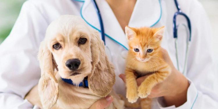 World Veterinary Day
