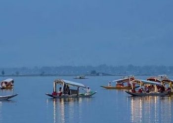 G20 delegates taking ride on shikaras, at Dal Lake in Srinagar (Image: PTI)