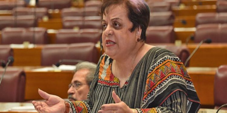 Shireen Mazari (Image: NAofPakistan/Twitter)