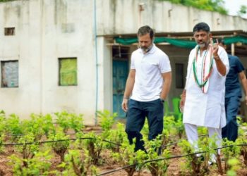 Shivakumar meets Rahul, gets proposal to have a say in Karnataka cabinet selection