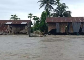 Assam flood