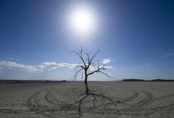 Ahead of El Nino 2023 likely to become hottest year ever recorded