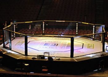 Vegas Octagon Elon Musk, Mark Zuckerberg, cage fight