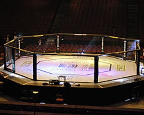 Vegas Octagon Elon Musk, Mark Zuckerberg, cage fight