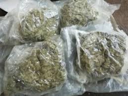 Commissionerate Police arrests 59 drug peddlers in six months