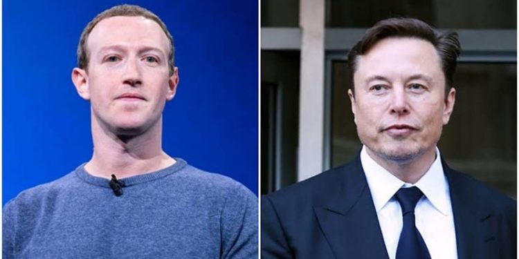 Mark Zuckerberg/ Elon Musk