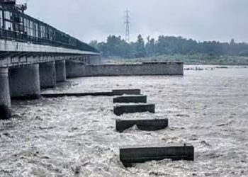 Delhi on high alert as Yamuna flows above danger level