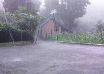 Monsoon fury in Himachal Pradesh: 20 people stranded in Manali rescued, more rains predicted