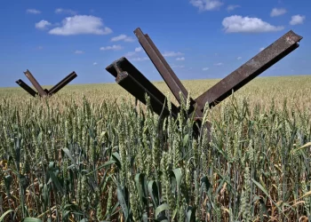 Anti-tank obstacles on a wheat field at a farm in southern Ukraine's Mykolaiv region. The country's grain exports were curtailed when Russia pulled out of a deal that allowed grain-laden ships to sail out of Ukrainian ports. (Photo via npr.org)