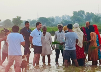 Rahul's interaction with farmers in Haryana village shows party's sensitivity: Congress