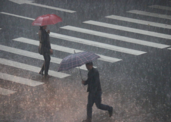 South Korea torrential rains: Death toll rises to 41