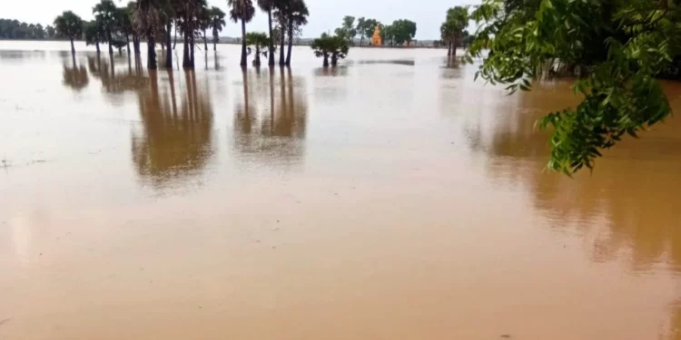 Baitarani flood