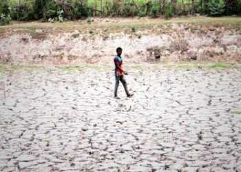 Deficient Rainfall in Odisha