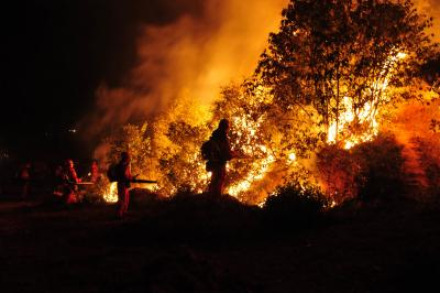 Hawaii wildfire death toll reaches 89, making it the deadliest in US in more than 100 years