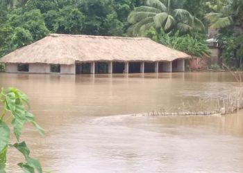 Odisha floods: Brahmani, Baitarani breach danger marks in different parts; Mahanadi basin floods
