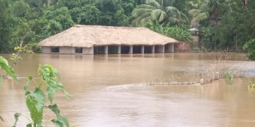 Odisha floods: Brahmani, Baitarani breach danger marks in different parts; Mahanadi basin floods