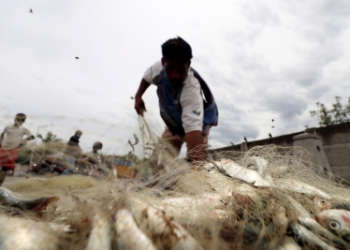 Indian fishermen attacked by Sri Lankan sea pirates