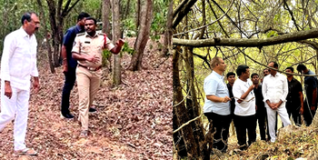 Following the killing of a six-year-old girl by a leopard on the Alipiri Footpath route Friday night, the Tirumala Tirupati Devasthanam (TTD) has beefed up security along with forest and police departments