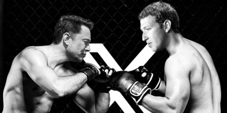 Mark Zuckerberg - Elon Musk