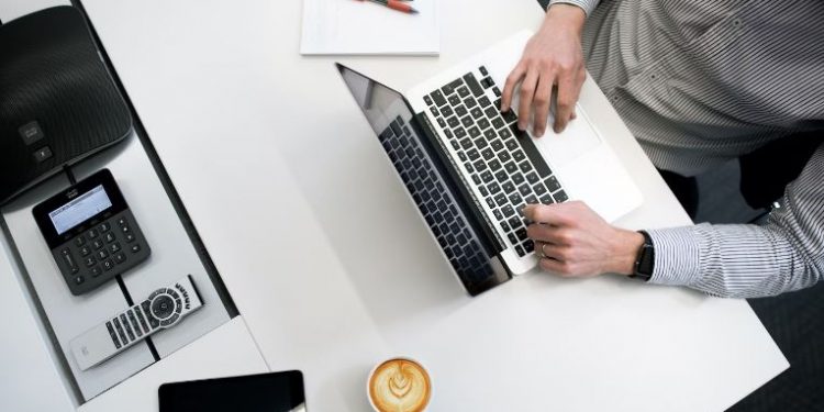 Content Writer