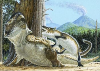 Fossil reveals killers of dinosaurs
