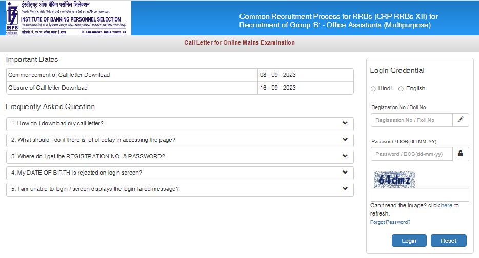 IBPS RRB Clerk Main Admit Card