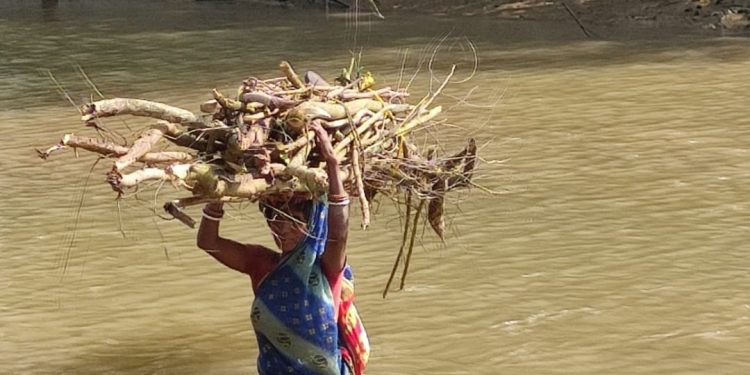 Women cross croc-infested river to earn livelihood in Kendrapara district