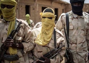 Mali insurgency