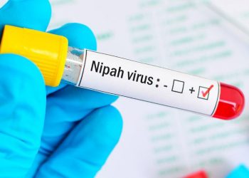 Nipah Virus