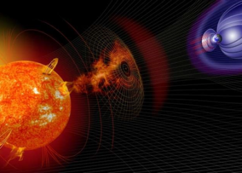 14,300-yr-old tree rings reveal largest-ever solar storm