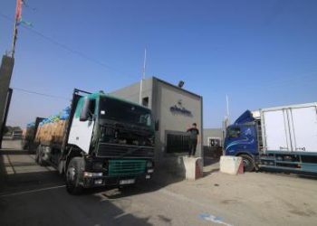 20 aid trucks enter Gaza from Rafah crossing for first time since conflict