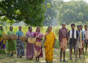 Odisha+farming+Sundargarh