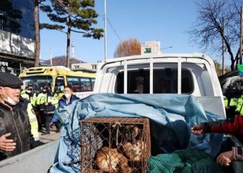 Dog Farmers Protest