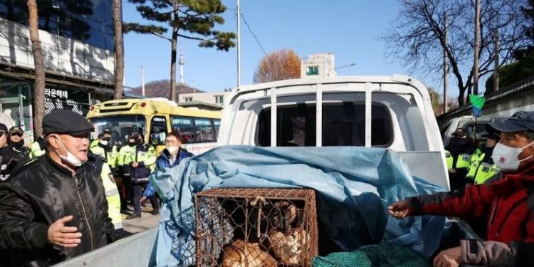 Dog Farmers Protest