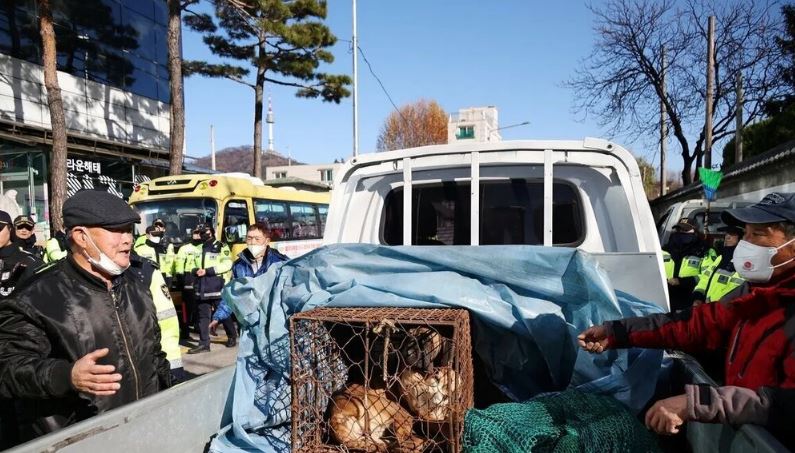 Dog Farmers Protest