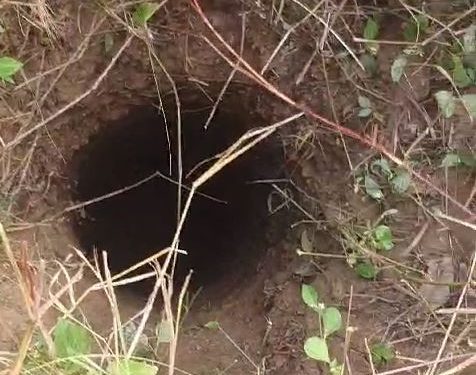 Elderly woman falls into borewell in Odisha’s Sonepur; rescue operation on