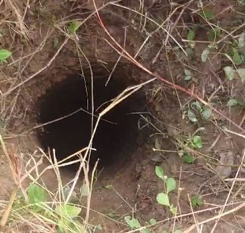 Elderly woman falls into borewell in Odisha’s Sonepur; rescue operation on