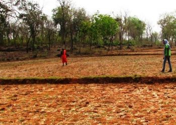 Jajpur, Bolangir, Kalahandi and Koraput.