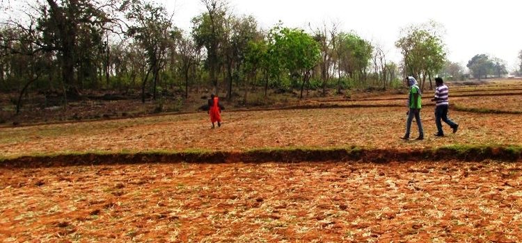 Jajpur, Bolangir, Kalahandi and Koraput.