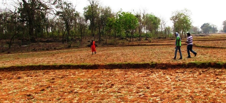 Jajpur, Bolangir, Kalahandi and Koraput.