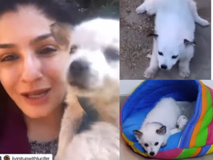 Raveena Tandon brings home blind puppy from street