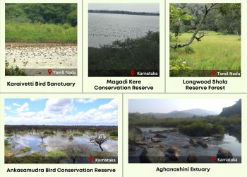 Five more Indian wetlands added to Ramsar list