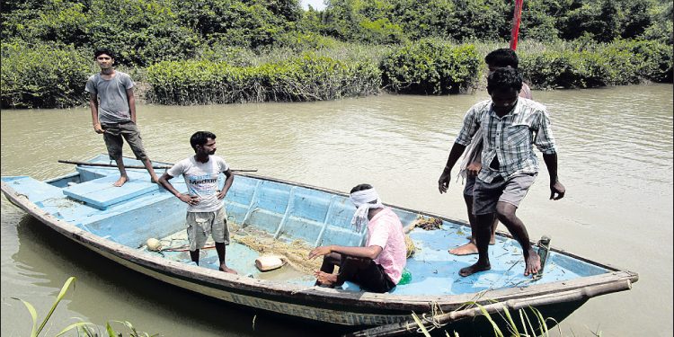 Odisha’s Bhitarkanika National Park