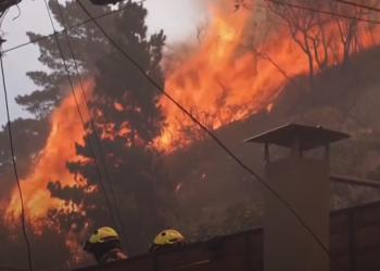 At least 46 reported dead in Chile as forest fires move into densely populated central areas